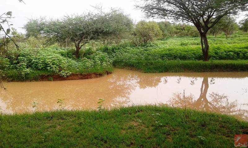 Timbédra : 3 enfants morts noyés dans une mare