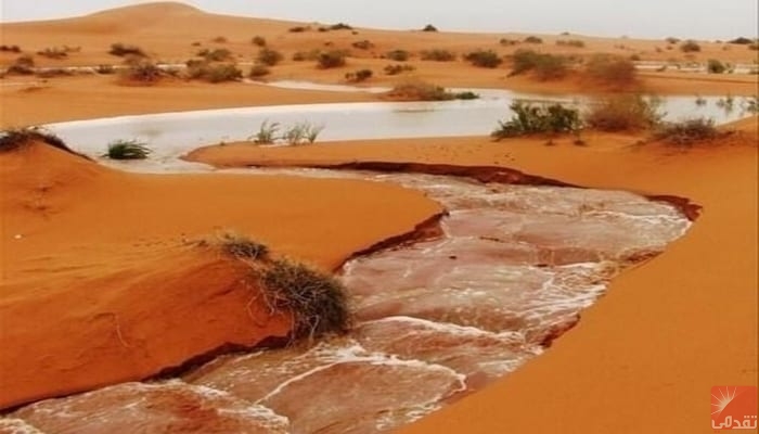 Les précipitations dépassent 180 mm dans l’est de la Mauritanie