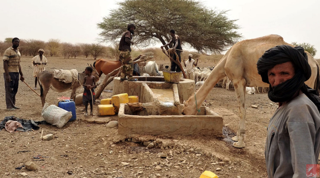 Mauritanie : Recrudescence des cas Fièvre de la Vallée du Rift au sein du bétail