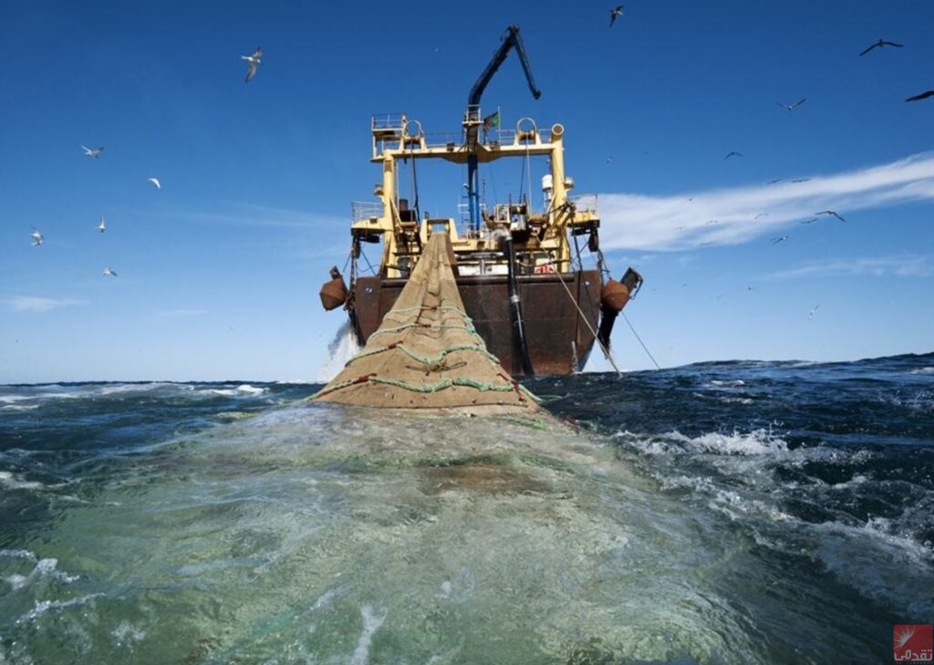 L’Union Européenne s’apprête à élargir l’accord de pêche avec la Mauritanie