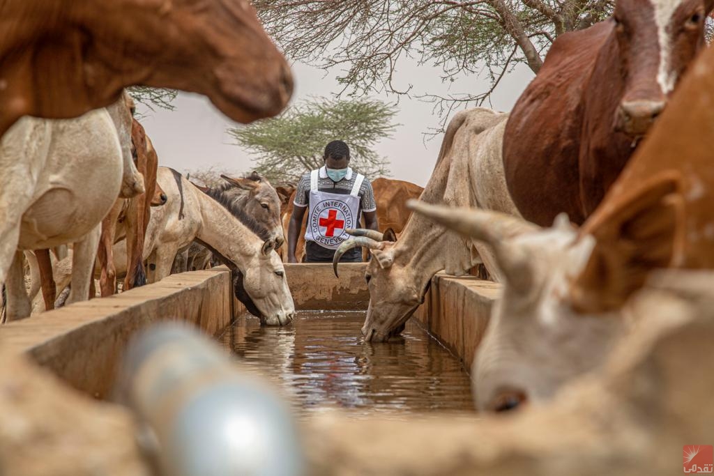 Clap de fin pour le CICR en Mauritanie.