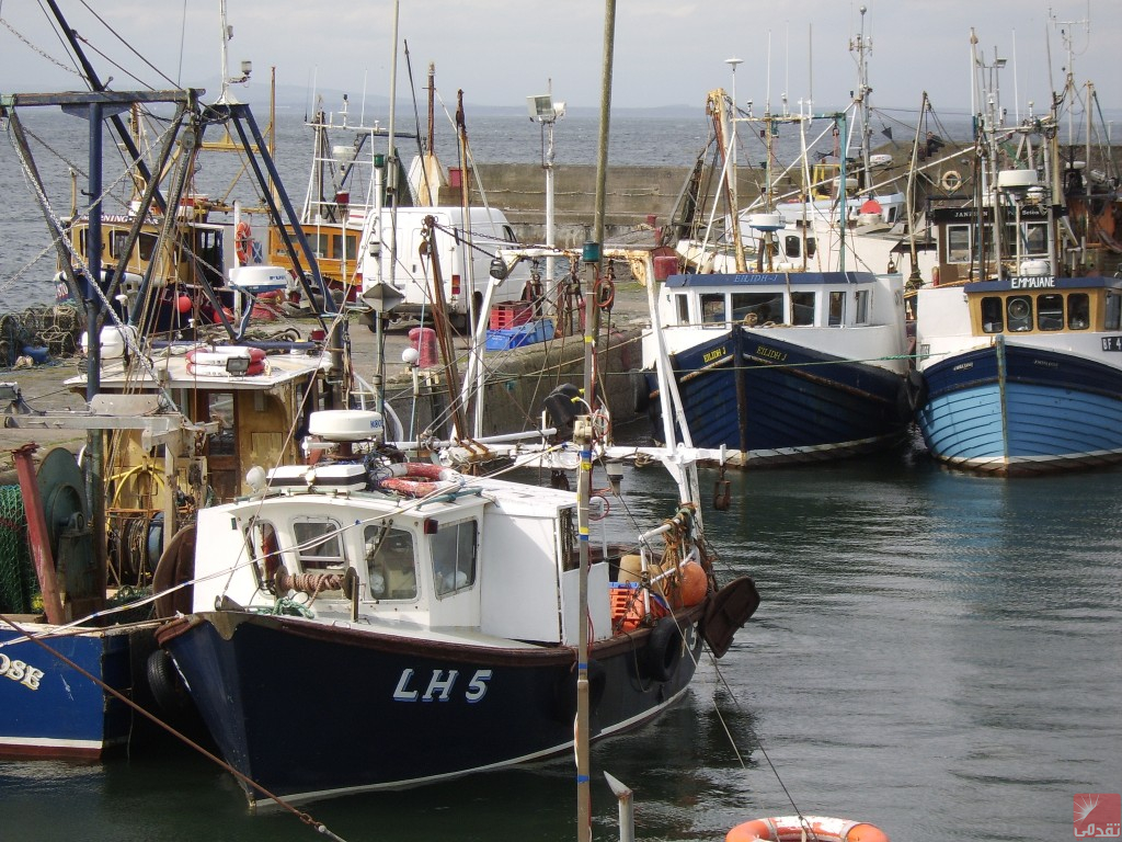 L’Union européenne envisage de renouveler l’accord de pêche avec la Mauritanie