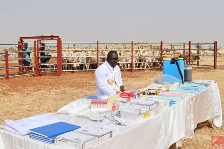 Mauritanie : Campagne de vaccination contre la peste des petits ruminants