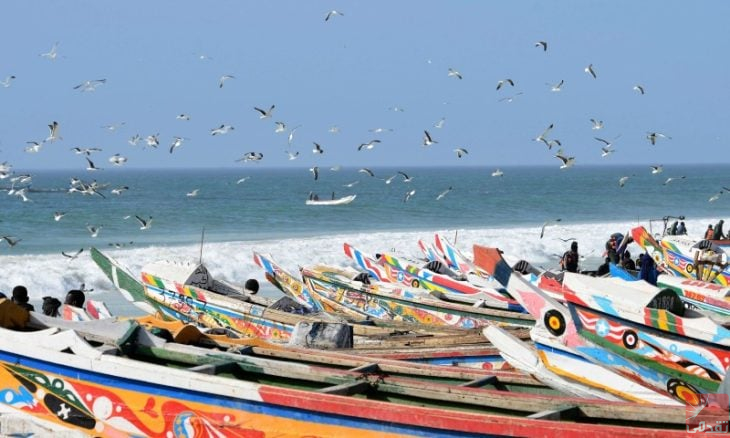 Une délégation algérienne se rendra à Nouakchott en mars prochain pour négocier un accord de pêche dans les eaux mauritaniennes