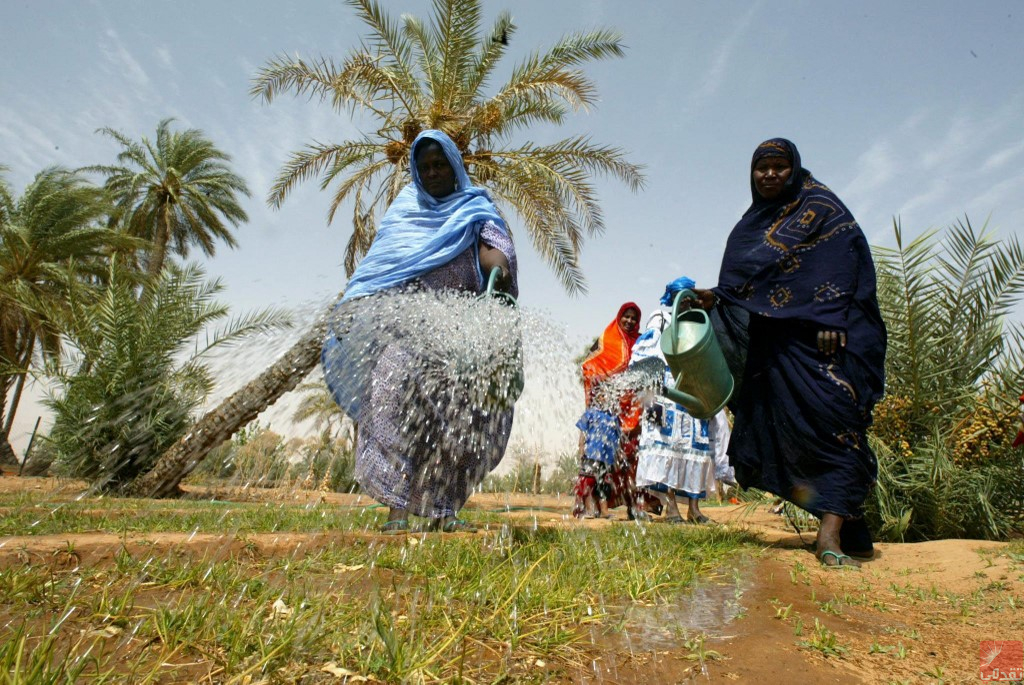 Bilan : 14.33% des Mauritaniens souffriront d’insécurité alimentaire cette année