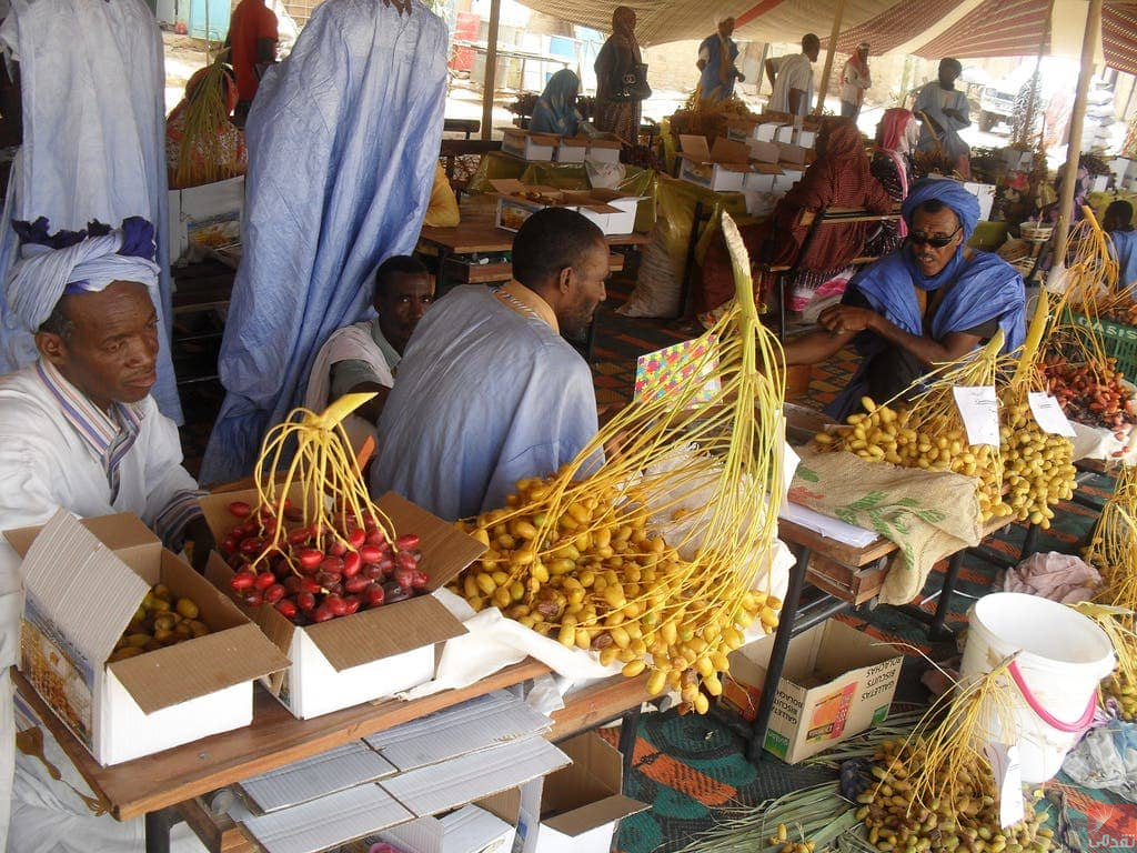 La Mauritanie produit plus de 20.000 tonnes de dattes par an