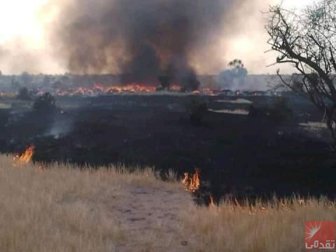 Les incendies ravagent l’Assaba, un écologiste révèle les causes et recommande des actions