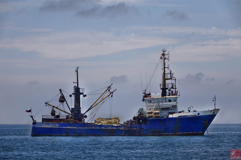 La Russie envisage d’étendre ses activités de pêche en Afrique de l’Ouest