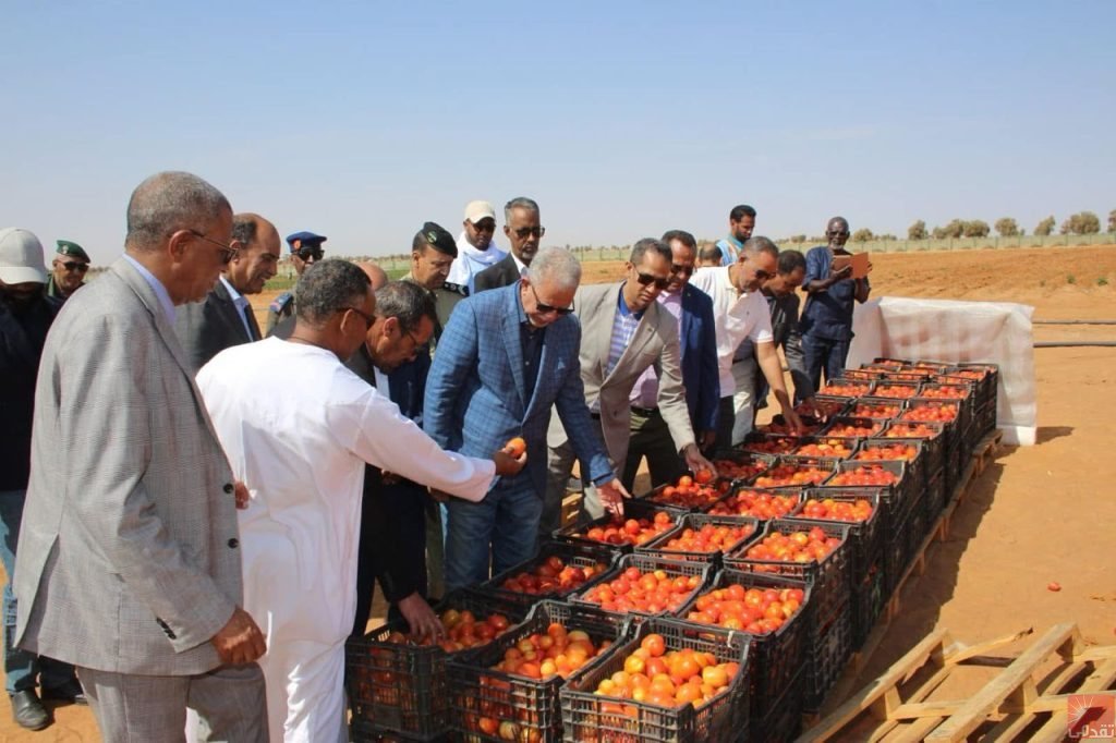 Ministre de l’Agriculture : « La mise en valeur des terres est une priorité pour atteindre la sécurité alimentaire »