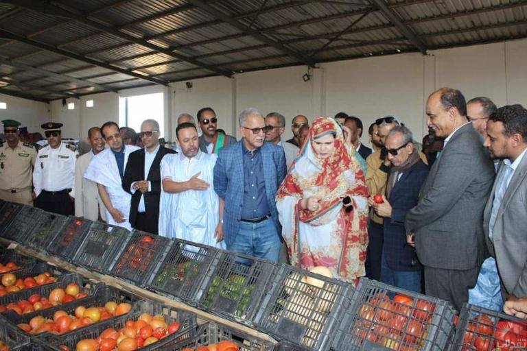 Ministre de l’Agriculture : « La production mauritanienne de légumes a atteint un niveau encourageant »