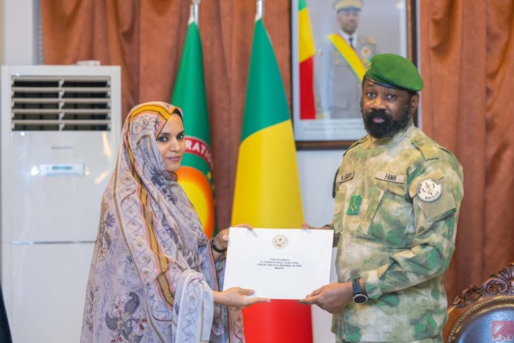 Le Mali annonce son soutien au candidat mauritanien à la présidence de la Banque africaine de développement