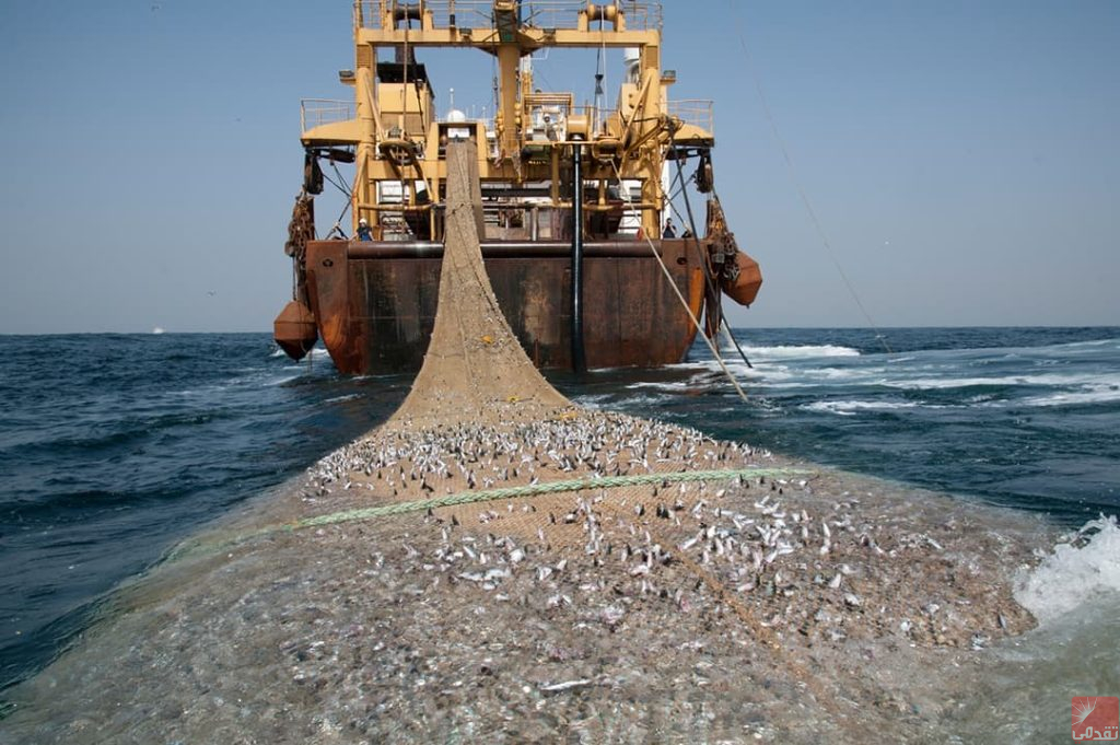 La Mauritanie figure sur une carte mondiale révélant des usines de farine et d’huile de poisson (Moka)