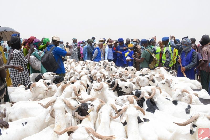 La Mauritanie fortement présente sur le marché sénégalais de « Mbeissiré »