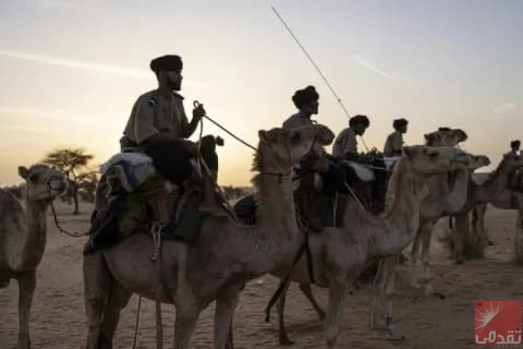 Agence France-Presse (AFP) : Les méharistes en Mauritanie… l’arme de l’État face au terrorisme