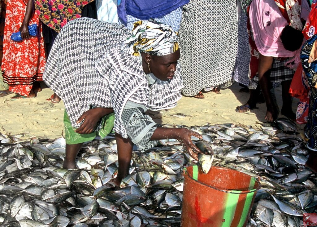 Associated Press : Le projet gazier entre le Sénégal et la Mauritanie menace les pêcheurs locaux