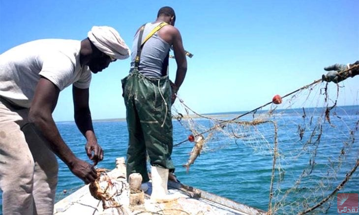 Le ministère de la Pêche fixe la date de fin de la pause biologique