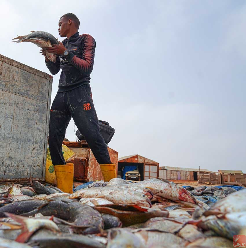 Rapport : Les ressources maritimes de la Mauritanie en danger