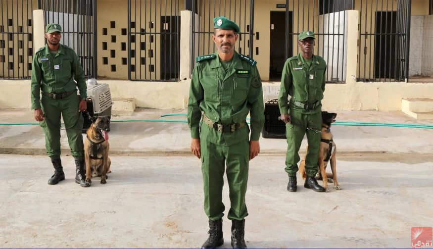 La gendarmerie annonce avoir déjoué une tentative de migration à Nouadhibou