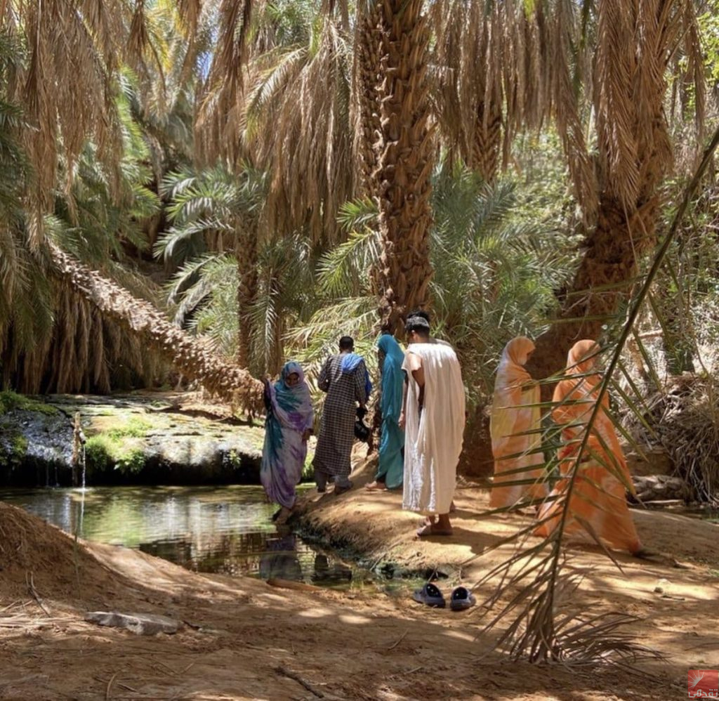 “Mon pays, ma destination”… La Mauritanie lance la saison de relance du tourisme intérieur depuis Atar