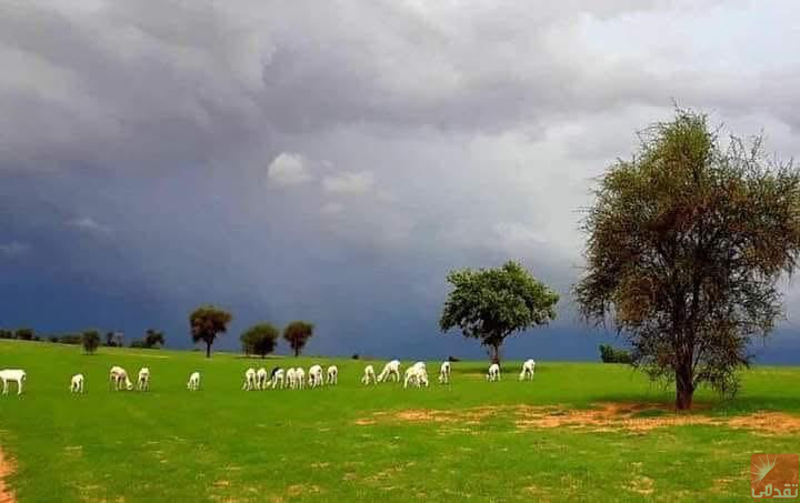 La météo prévoit de faibles pluies et une hausse des températures dans le nord du pays