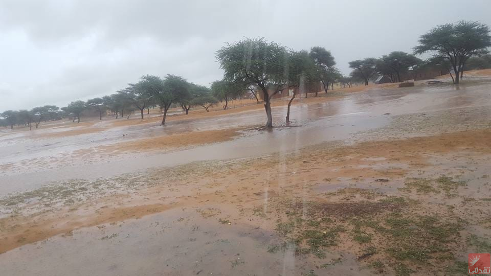 Pluies sur plusieurs régions de Mauritanie
